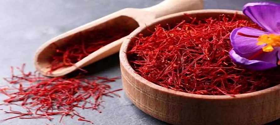 سطح زیرکشت زعفران ۱۲۷ هزار هکتار است